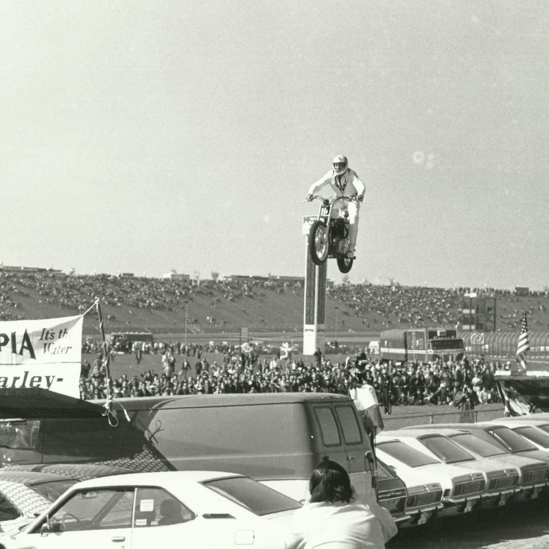 Evel_carousel (3)